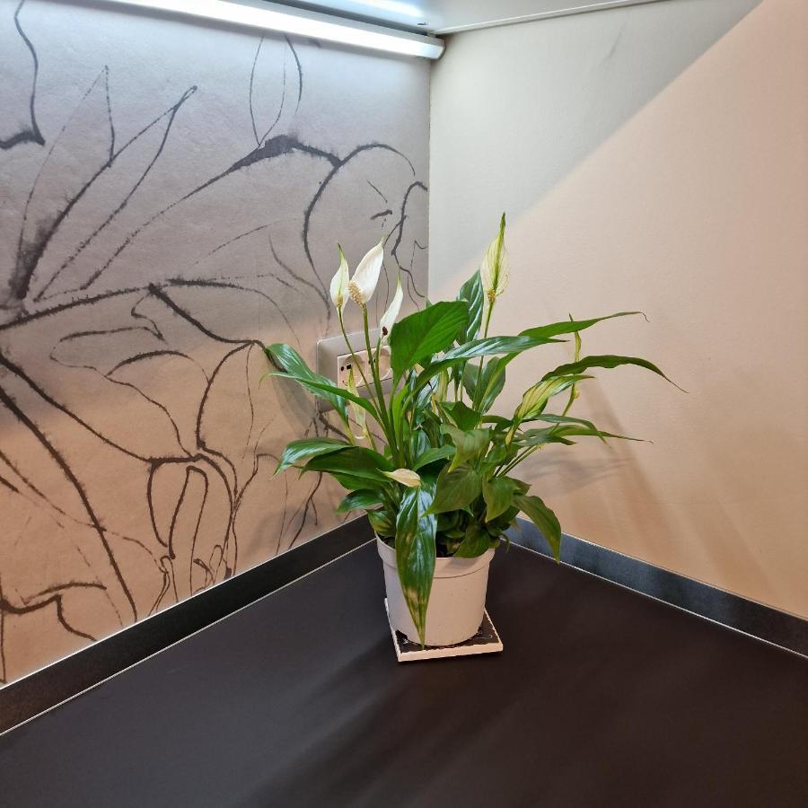 Apartamento Corso Vittorio 364 Cagliari Exterior foto